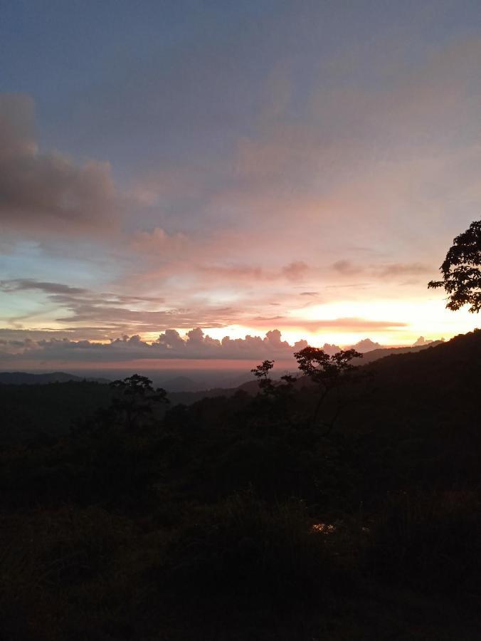 4 Acre Woods Farm Stay Munnar Exterior photo